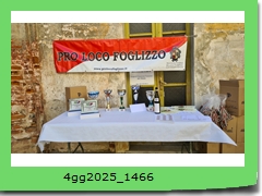 4gg2025_1466