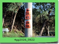 4gg2026_0822